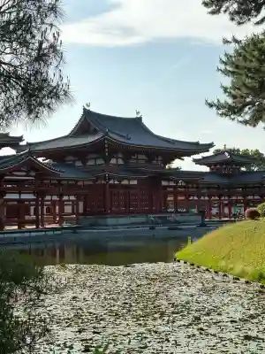 平等院の{uncategorized: "未分類", other: "その他", undefined: "問題あり", building: "その他建物", grave: "お墓", sacred_gate: "鳥居", guardian: "狛犬", statue: "像", buddha: "仏像", history: "歴史", nature: "自然", garden: "庭園", animal: "動物", pagoda: "塔", temizu: "手水舎", mountain_gate: "山門・神門", sanctuary: "本殿・本堂", subordinate: "末社・摂社", art: "芸術", scenery: "景色", jizo: "地蔵", ema: "絵馬", goshuin: "御朱印", omikuji: "おみくじ", items: "授与品その他", amulet: "お守り", goshuincho: "御朱印帳", eats: "食事", festival: "お祭り", votive_dance: "神楽", shichigosan: "七五三参", wedding: "結婚式", experience: "体験その他", initially: "初詣", around: "周辺", anti_infection: "感染症対策"}