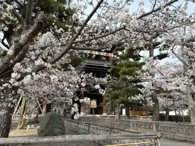 くろ谷 金戒光明寺(京都府)