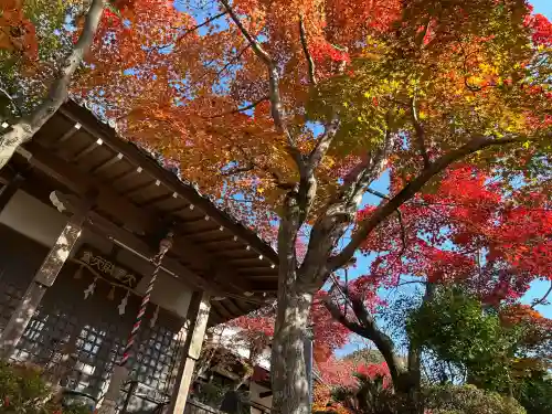 聖天宮 西江寺の{uncategorized: "未分類", other: "その他", undefined: "問題あり", building: "その他建物", grave: "お墓", sacred_gate: "鳥居", guardian: "狛犬", statue: "像", buddha: "仏像", history: "歴史", nature: "自然", garden: "庭園", animal: "動物", pagoda: "塔", temizu: "手水舎", mountain_gate: "山門・神門", sanctuary: "本殿・本堂", subordinate: "末社・摂社", art: "芸術", scenery: "景色", jizo: "地蔵", ema: "絵馬", goshuin: "御朱印", omikuji: "おみくじ", items: "授与品その他", amulet: "お守り", goshuincho: "御朱印帳", eats: "食事", festival: "お祭り", votive_dance: "神楽", shichigosan: "七五三参", wedding: "結婚式", experience: "体験その他", initially: "初詣", around: "周辺", anti_infection: "感染症対策"}