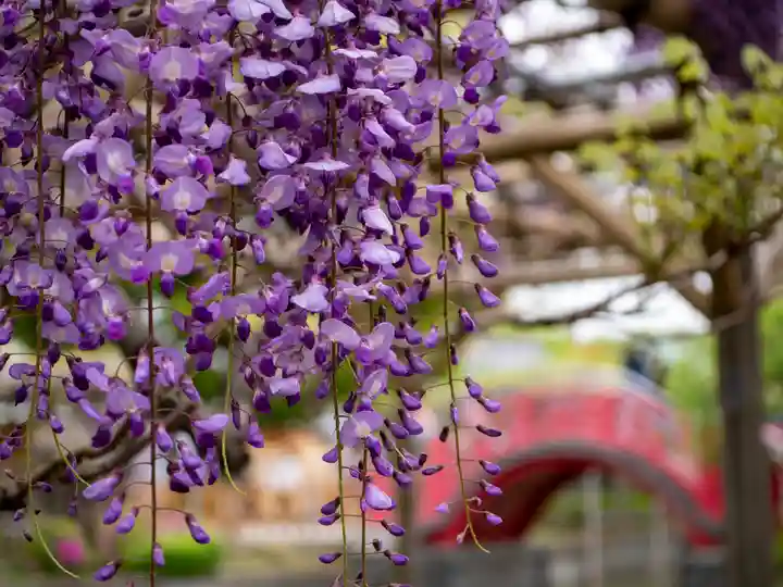 亀戸天神社(東京都)