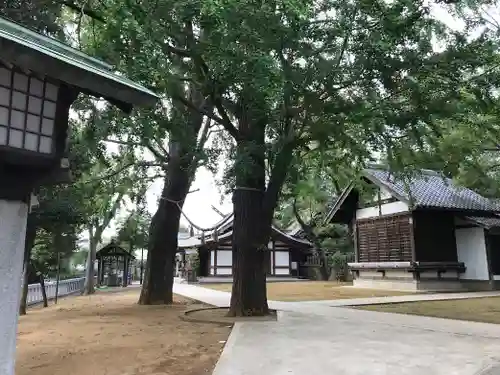 代田八幡神社(東京都)
