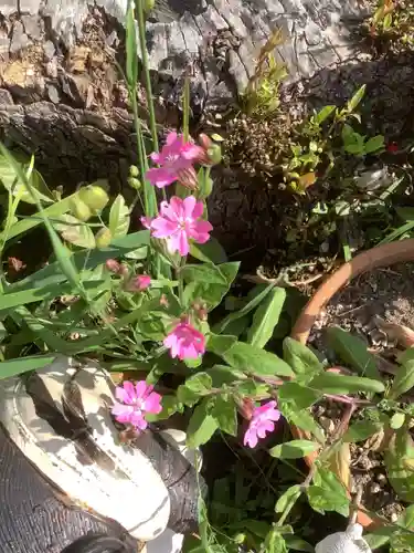 三輪神社の自然