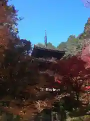 金剛輪寺の建物その他