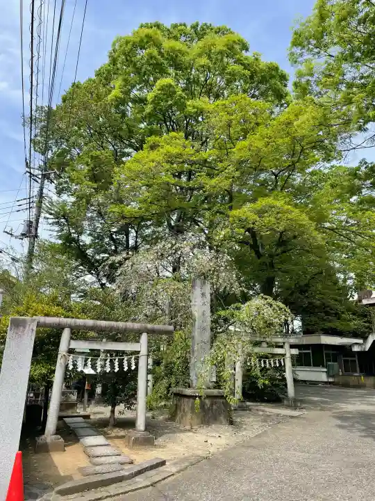 高城神社の{uncategorized: "未分類", other: "その他", undefined: "問題あり", building: "その他建物", grave: "お墓", sacred_gate: "鳥居", guardian: "狛犬", statue: "像", buddha: "仏像", history: "歴史", nature: "自然", garden: "庭園", animal: "動物", pagoda: "塔", temizu: "手水舎", mountain_gate: "山門・神門", sanctuary: "本殿・本堂", subordinate: "末社・摂社", art: "芸術", scenery: "景色", jizo: "地蔵", ema: "絵馬", goshuin: "御朱印", omikuji: "おみくじ", items: "授与品その他", amulet: "お守り", goshuincho: "御朱印帳", eats: "食事", festival: "お祭り", votive_dance: "神楽", shichigosan: "七五三参", wedding: "結婚式", experience: "体験その他", initially: "初詣", around: "周辺", anti_infection: "感染症対策"}