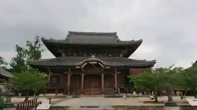 本山専修寺の本殿・本堂