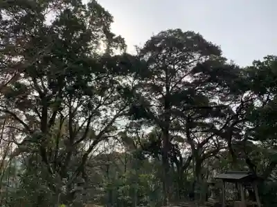 熊野神社の自然