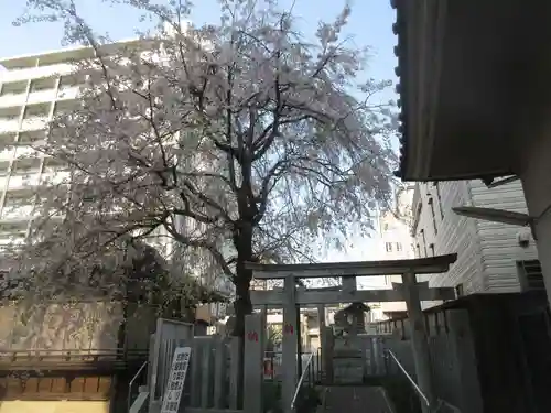 白山神社の鳥居