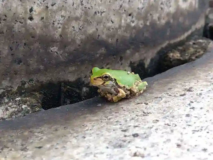 白山神社(福井県)