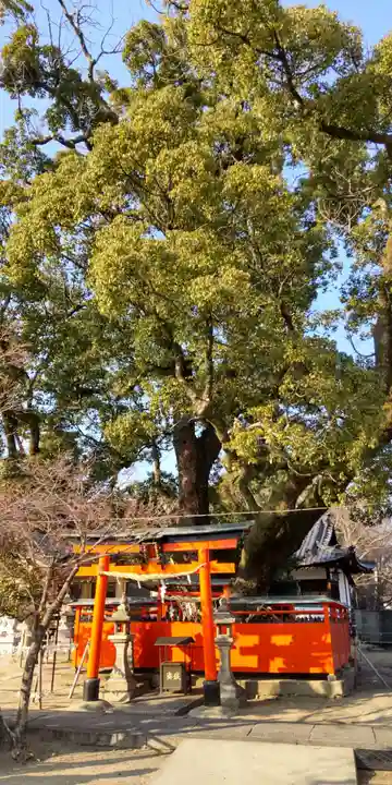 龍田神社(奈良県)