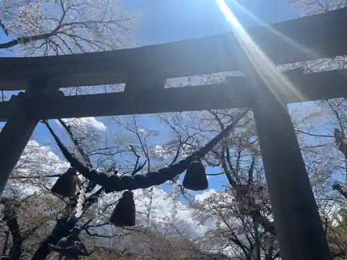 天鷹神社(岐阜県)