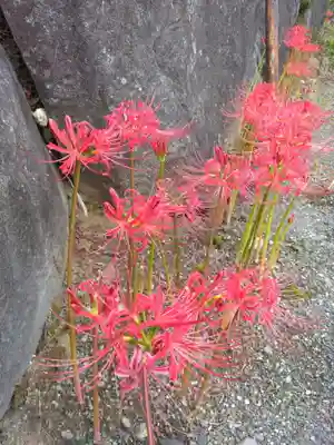 横浜　西方寺(神奈川県)