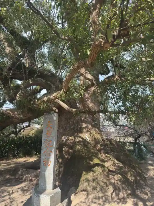 北野天満宮の{uncategorized: "未分類", other: "その他", undefined: "問題あり", building: "その他建物", grave: "お墓", sacred_gate: "鳥居", guardian: "狛犬", statue: "像", buddha: "仏像", history: "歴史", nature: "自然", garden: "庭園", animal: "動物", pagoda: "塔", temizu: "手水舎", mountain_gate: "山門・神門", sanctuary: "本殿・本堂", subordinate: "末社・摂社", art: "芸術", scenery: "景色", jizo: "地蔵", ema: "絵馬", goshuin: "御朱印", omikuji: "おみくじ", items: "授与品その他", amulet: "お守り", goshuincho: "御朱印帳", eats: "食事", festival: "お祭り", votive_dance: "神楽", shichigosan: "七五三参", wedding: "結婚式", experience: "体験その他", initially: "初詣", around: "周辺", anti_infection: "感染症対策"}