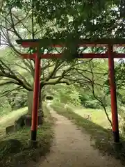 八大龍王弁財天大神の鳥居