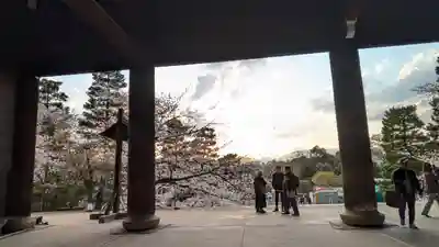 知恩院(京都府)