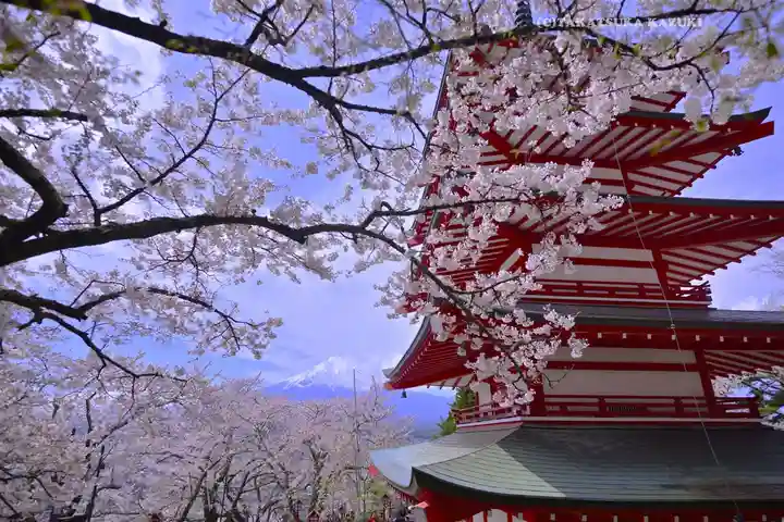 新倉富士浅間神社(山梨県)