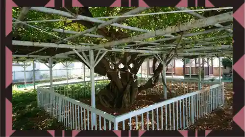 菖蒲神社(埼玉県)