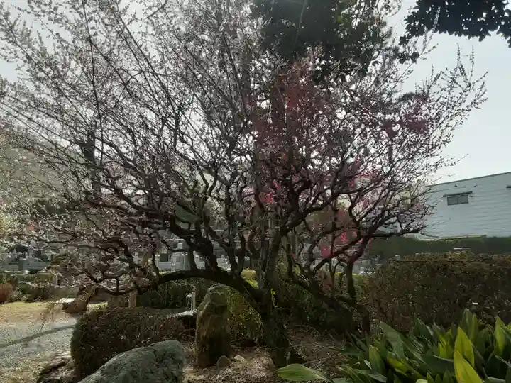 地蔵院(東京都)