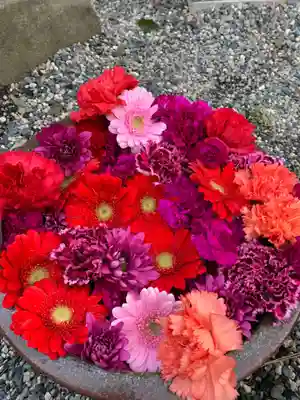 彌都加伎神社の手水舎