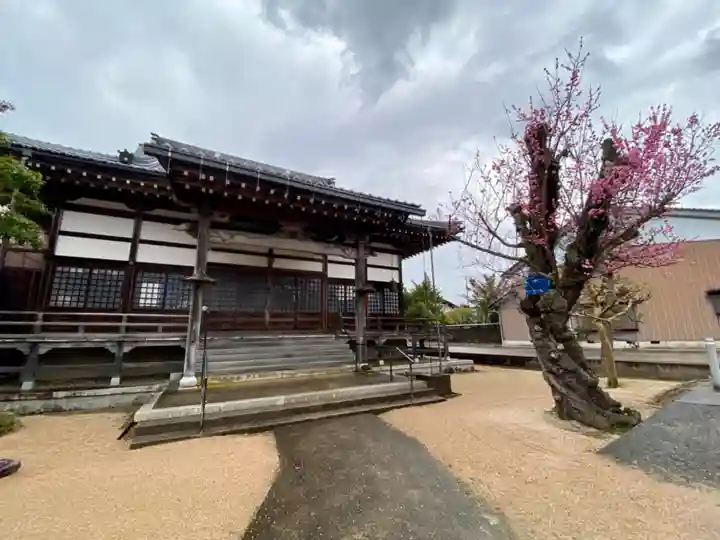 長明寺(京都府)