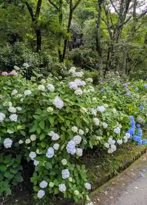 長弓寺(奈良県)