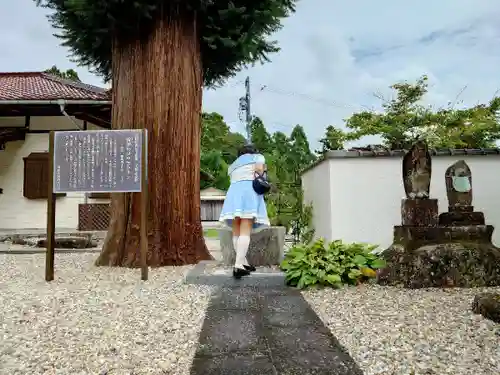 向陽寺の手水