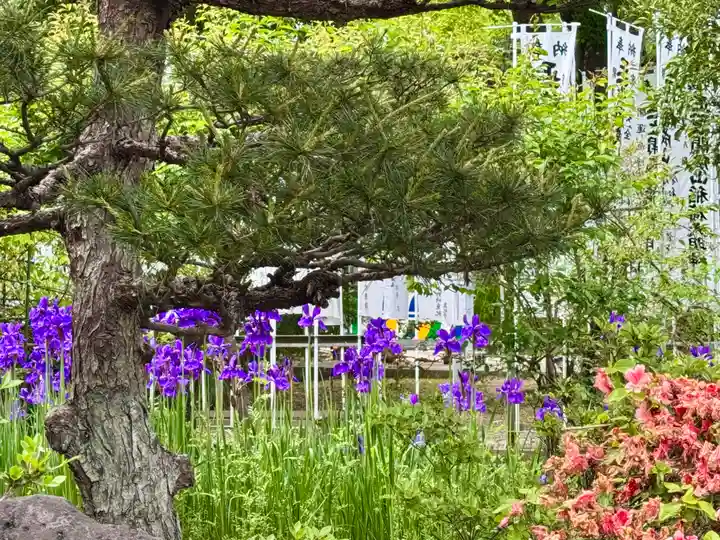 開成山大神宮(福島県)