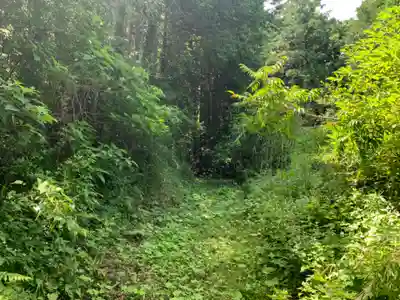 熊野大権現の周辺