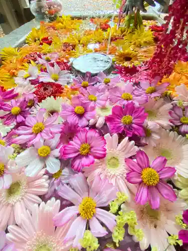 札幌諏訪神社の手水舎