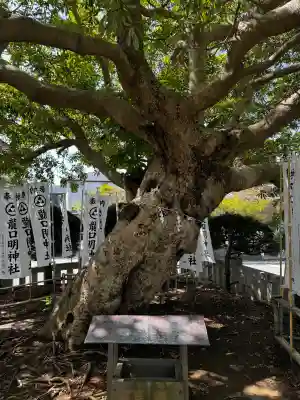 龍口明神社の{uncategorized: "未分類", other: "その他", undefined: "問題あり", building: "その他建物", grave: "お墓", sacred_gate: "鳥居", guardian: "狛犬", statue: "像", buddha: "仏像", history: "歴史", nature: "自然", garden: "庭園", animal: "動物", pagoda: "塔", temizu: "手水舎", mountain_gate: "山門・神門", sanctuary: "本殿・本堂", subordinate: "末社・摂社", art: "芸術", scenery: "景色", jizo: "地蔵", ema: "絵馬", goshuin: "御朱印", omikuji: "おみくじ", items: "授与品その他", amulet: "お守り", goshuincho: "御朱印帳", eats: "食事", festival: "お祭り", votive_dance: "神楽", shichigosan: "七五三参", wedding: "結婚式", experience: "体験その他", initially: "初詣", around: "周辺", anti_infection: "感染症対策"}