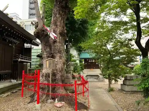 三輪神社(愛知県)