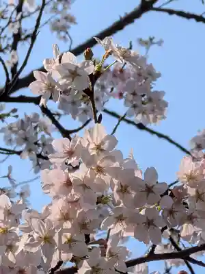 神明氷川神社(東京都)