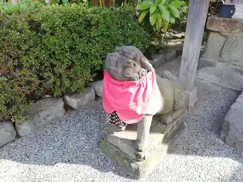 浅草寺の狛犬