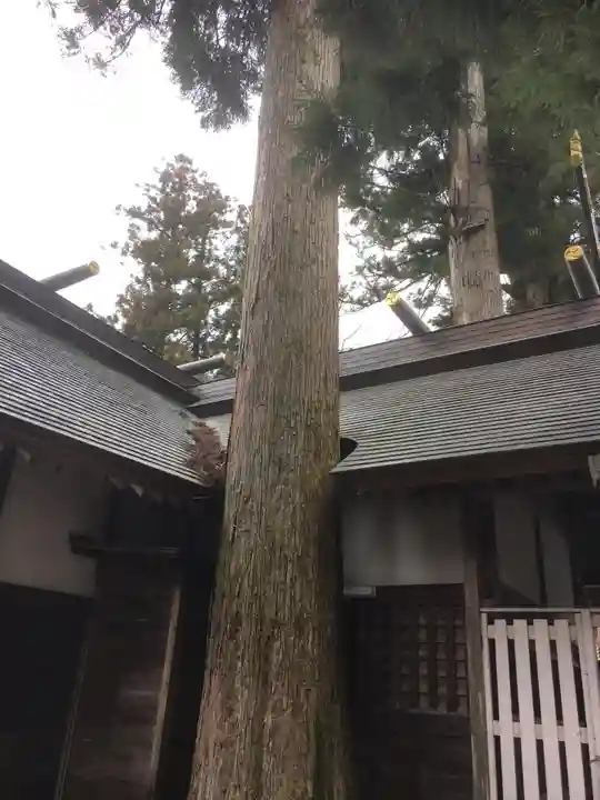 奥氷川神社のその他建物