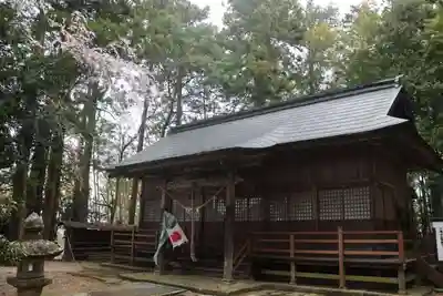 白幡神社の本殿・本堂