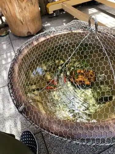 東京大神宮のその他建物