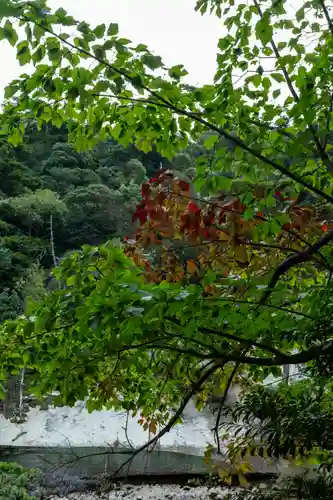 御山神社(厳島神社奧宮)(広島県)