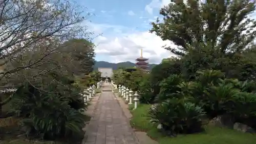 蓮華院誕生寺　本院の景色