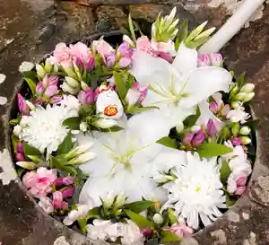 真言宗 善通寺派 薬王寺(香川県)(2025年09月09日(火) 09時39分26秒投稿)