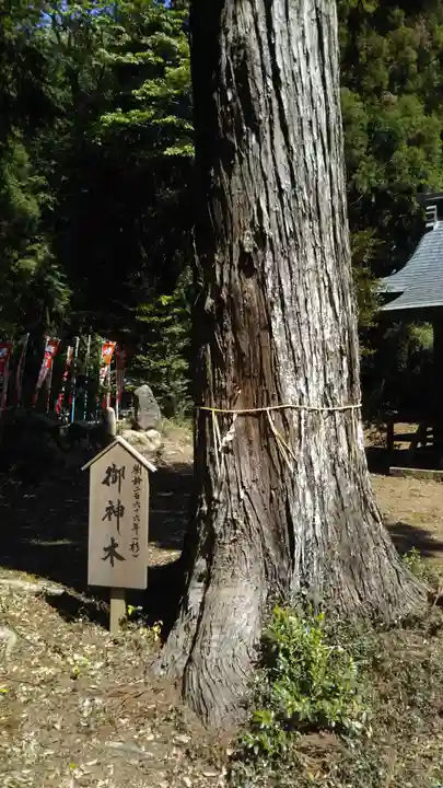 瀧神社のその他建物