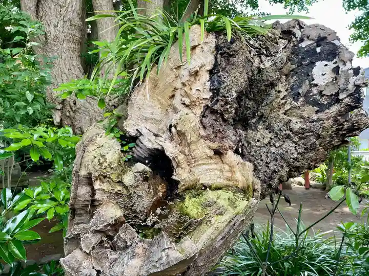 由比若宮(元鶴岡八幡宮)(神奈川県)