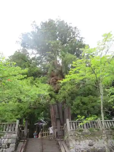 戸隠神社中社(長野県)