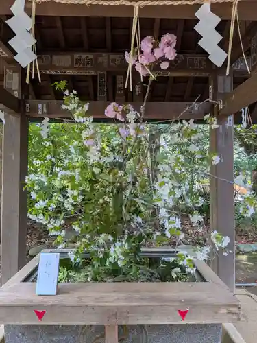 赤坂氷川神社(東京都)
