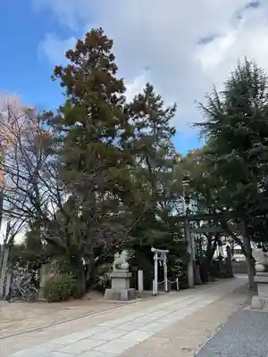 空鞘稲生神社(広島県)