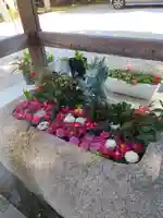 神館神社の手水舎