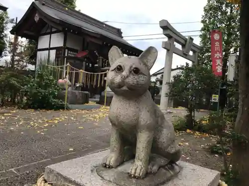 阿豆佐味天神社 立川水天宮の狛犬