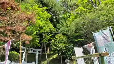 出雲大神宮(京都府)