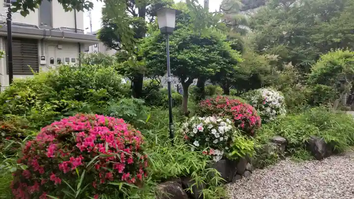 金蔵寺(神奈川県)