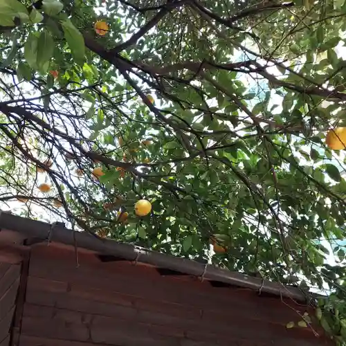 永久稲荷神社の自然