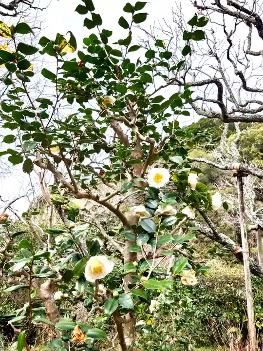 瑞泉寺(神奈川県)