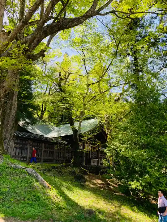 諏訪大社上社前宮(長野県)